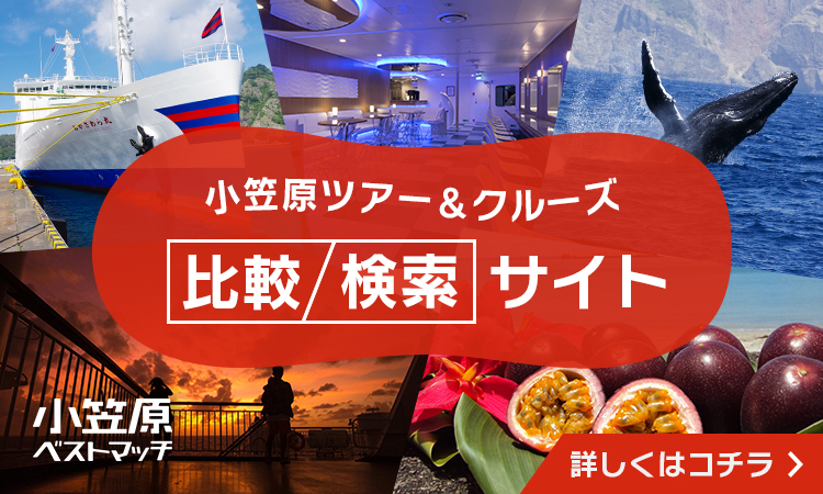 小笠原ベストマッチ