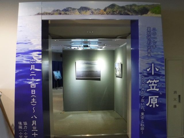 男鹿歴史1-1