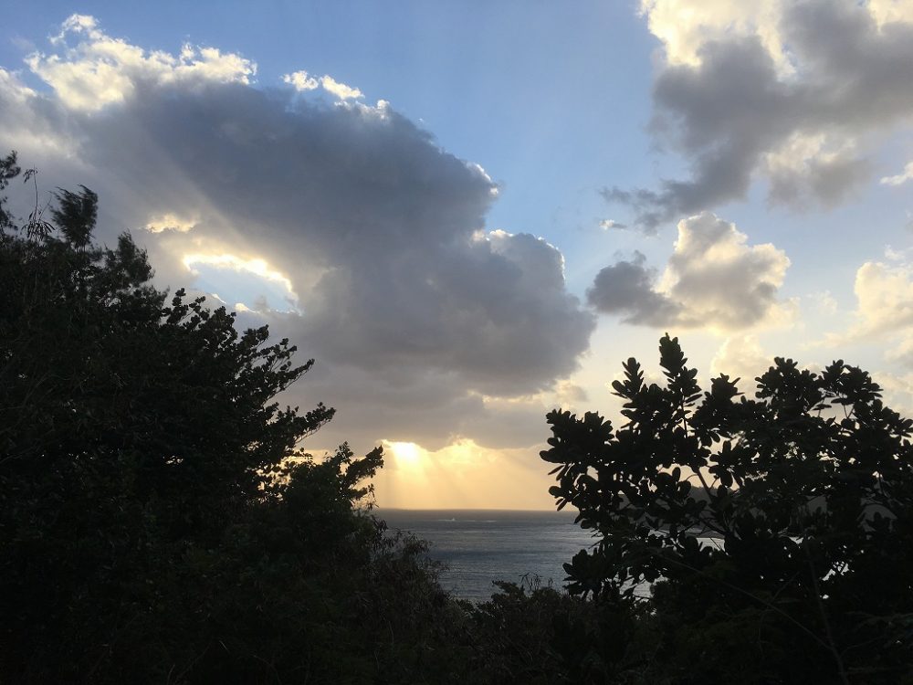 夕日の光