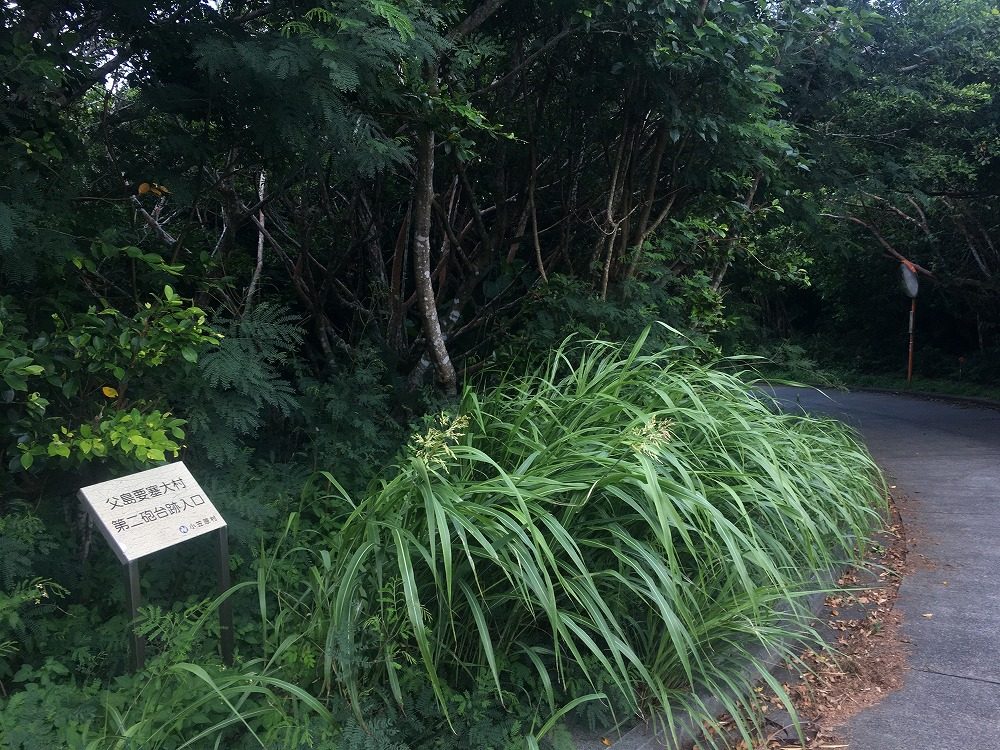 父島要塞大村 第二砲台跡入口