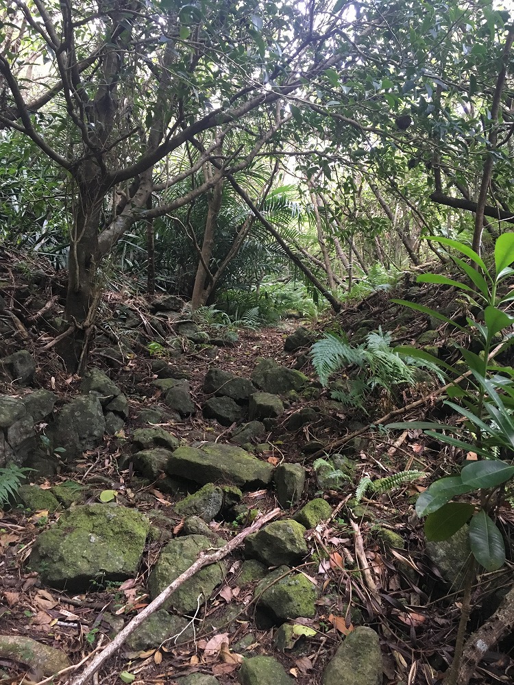 父島要塞大村 第二砲台跡