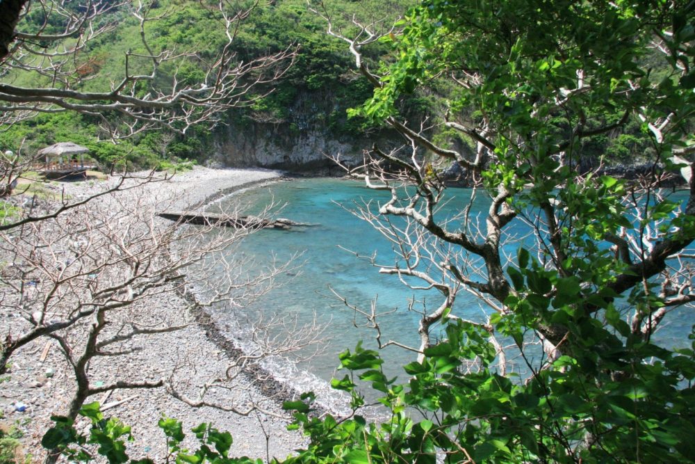 東山遊歩道からの北港