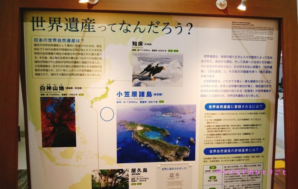 世界遺産ってなんだろう