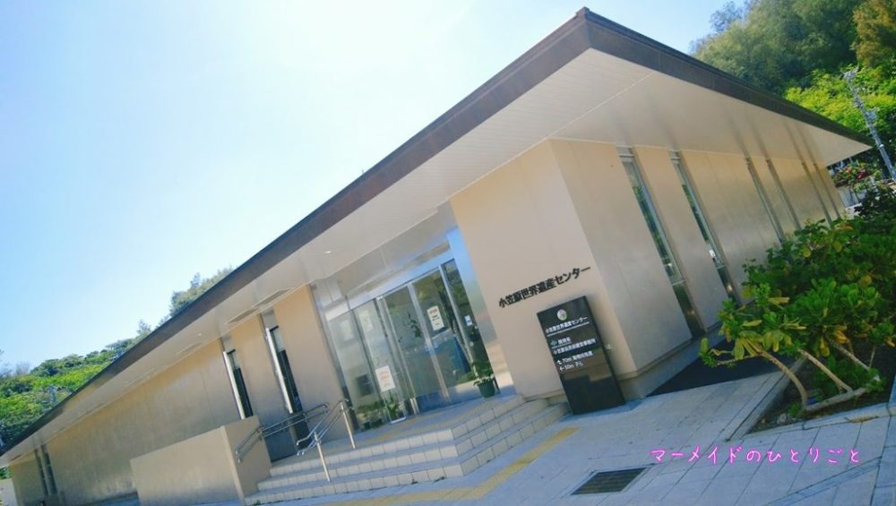 小笠原世界自然遺産センター