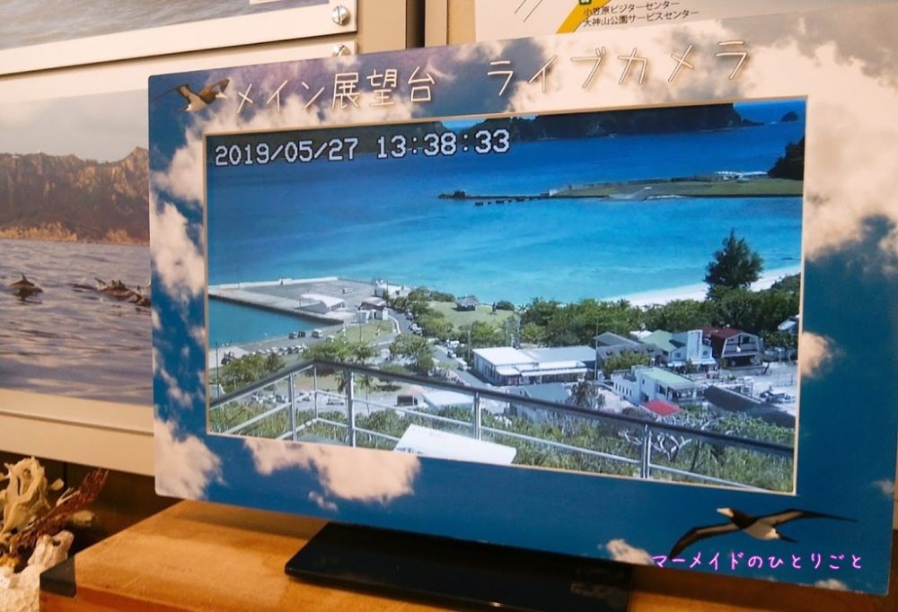 大神山展望台ライブカメラ