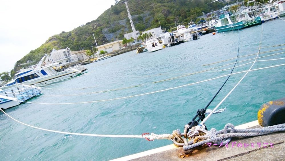 03台風の小笠原ってどんな感じ？