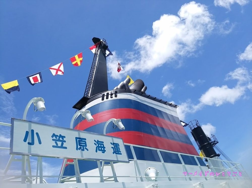 01台風の小笠原ってどんな感じ？