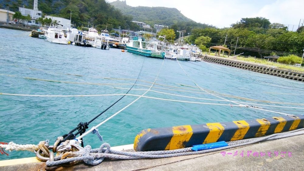 04台風の小笠原ってどんな感じ？