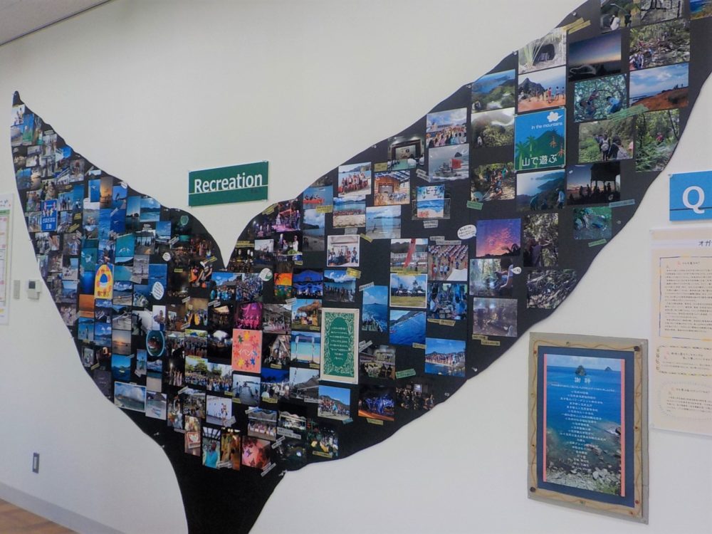 08 島のくらし展