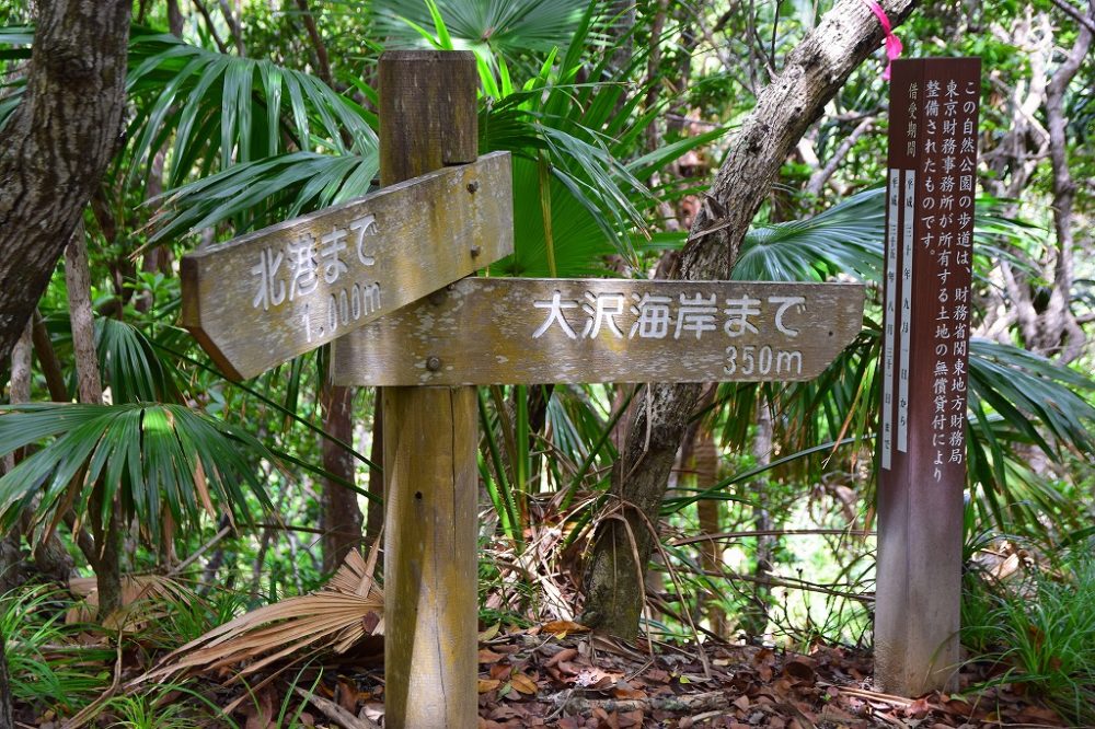 西台線歩道ルート09