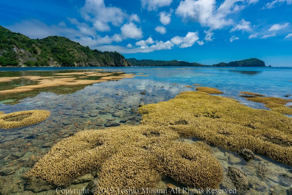 製氷海岸06