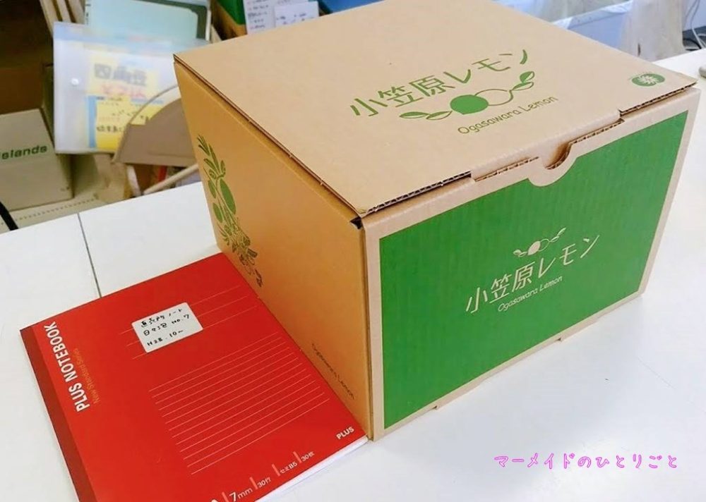 島レモン03