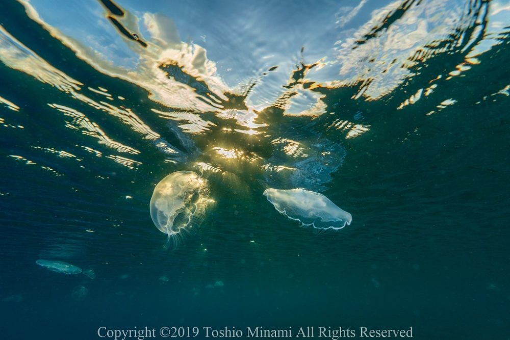 製氷海岸11