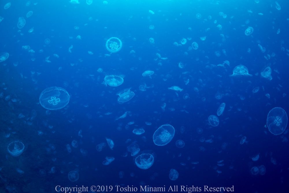 製氷海岸10