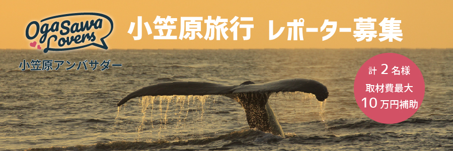 小笠原レポーター募集