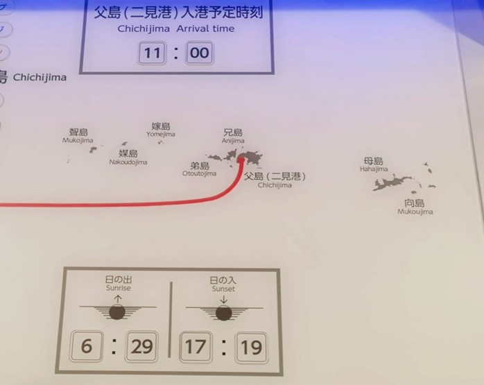 ビーナスベルト06