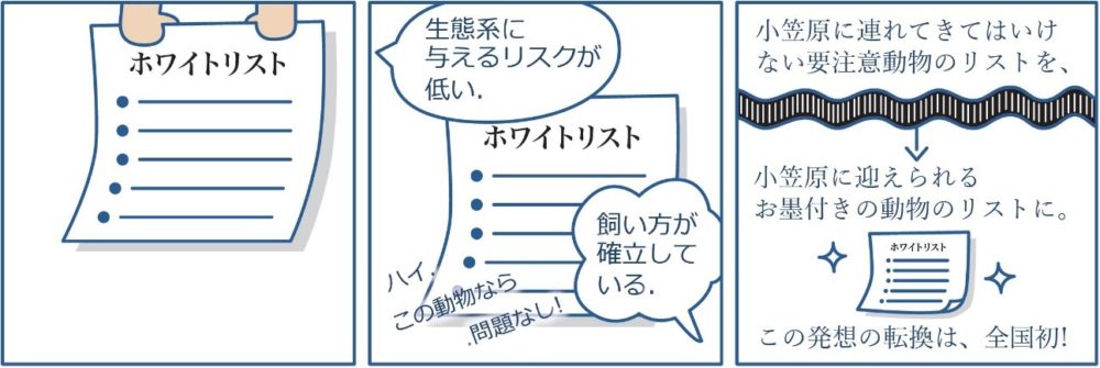 ８
