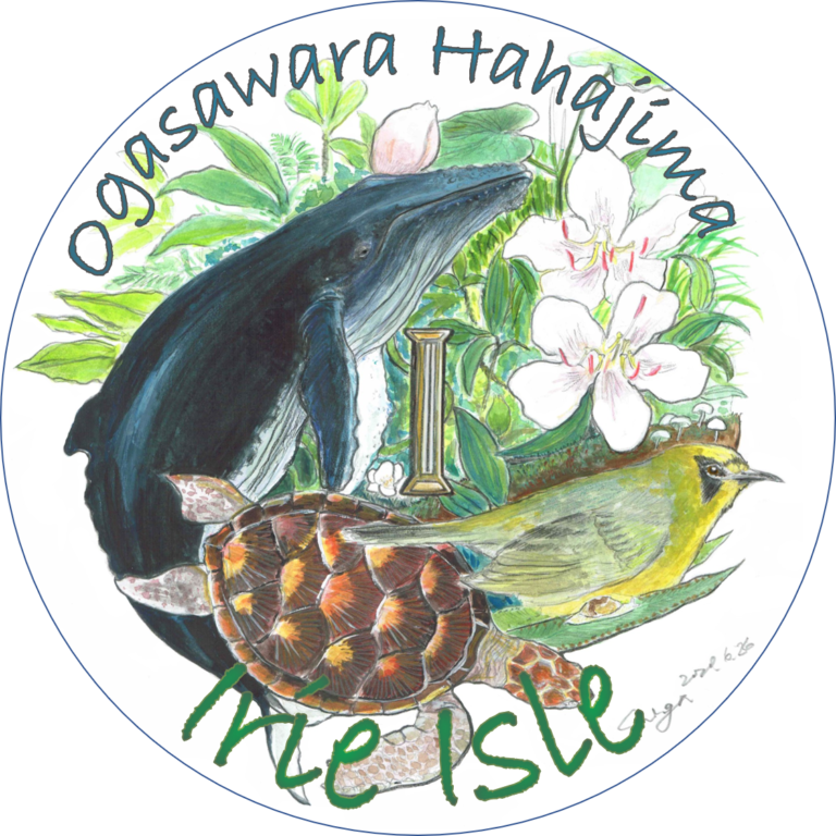 irie isle (アイリーアイル）　宮川　五葉