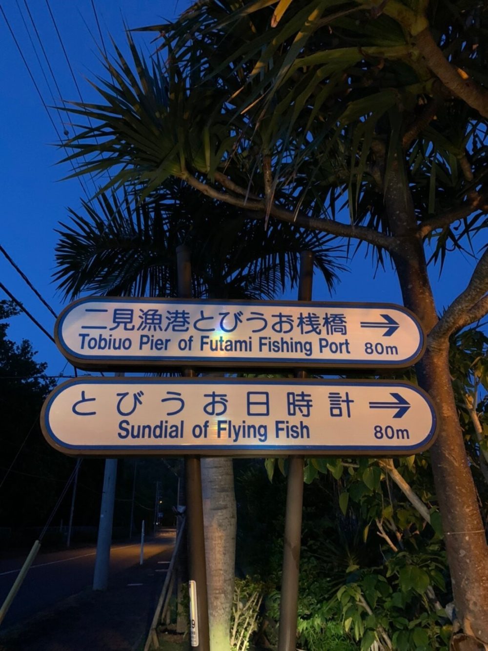 ６