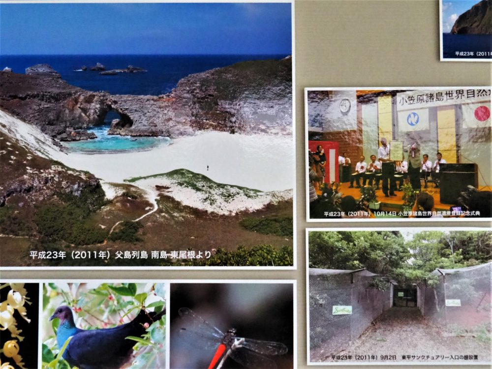 世界自然遺産登録10周年・自然との共生へ向けて