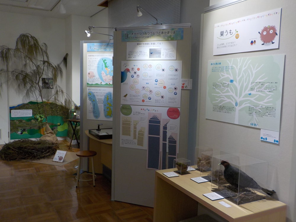 02_全体展示写真