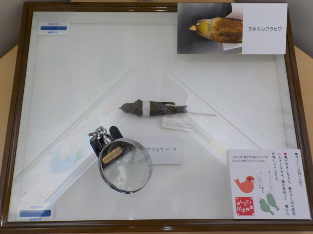 03_展示写真
