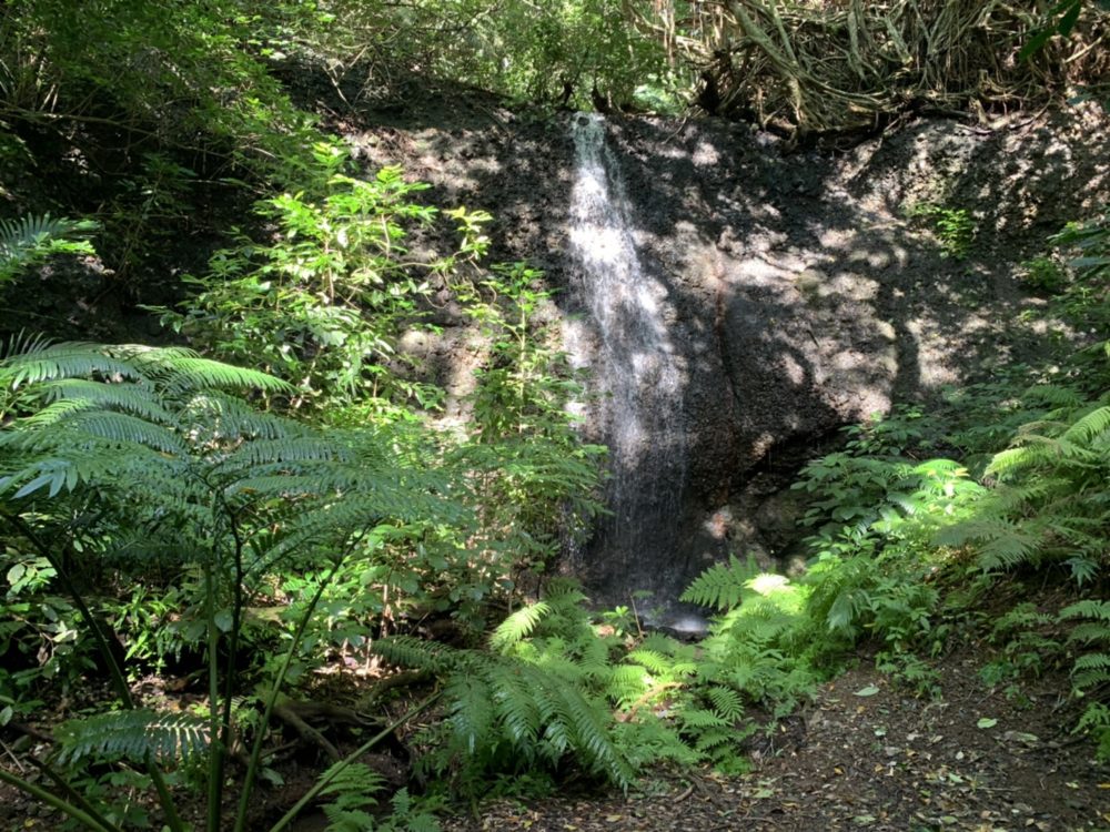 舟木山の滝