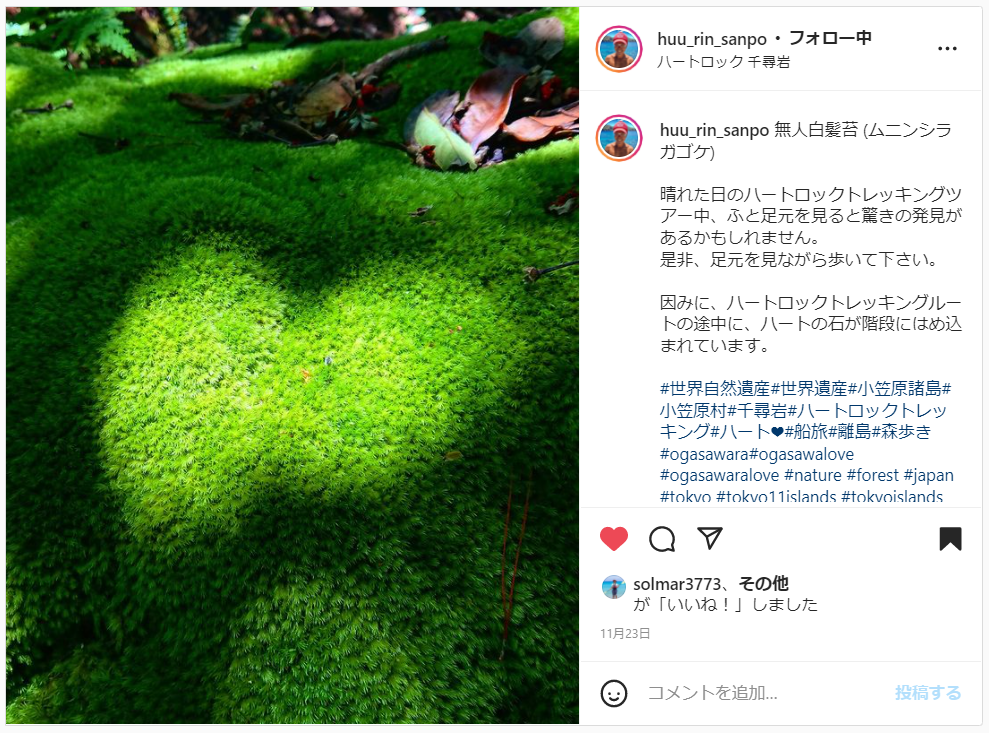 huu_rin_sanpo