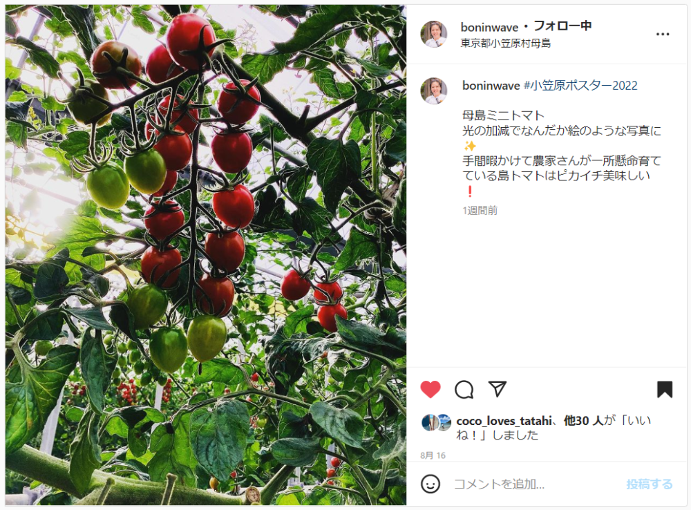 植物_boninwave