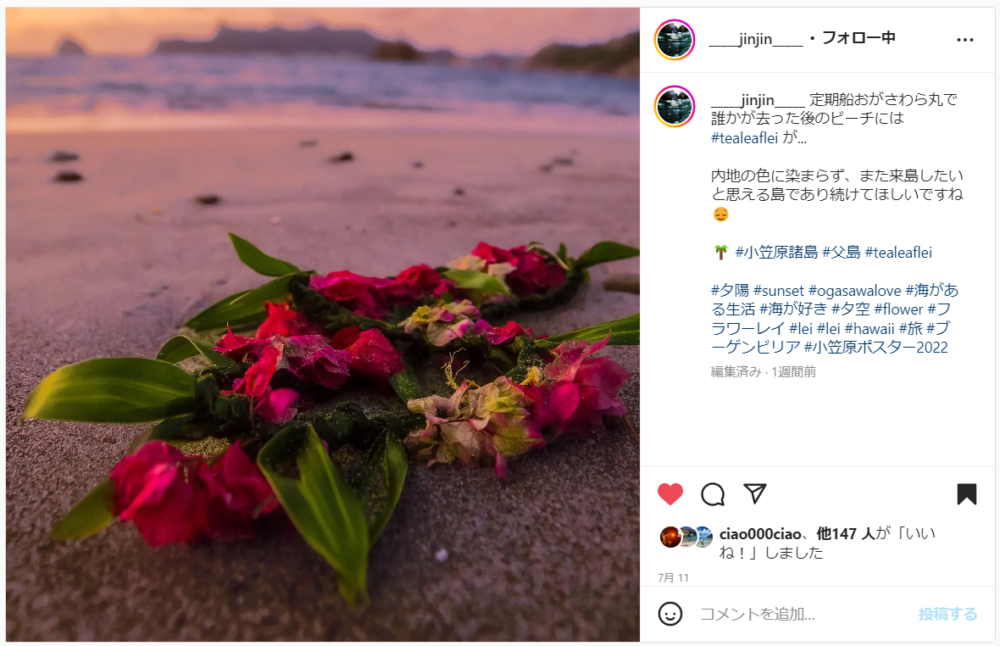 植物______jinjin_____