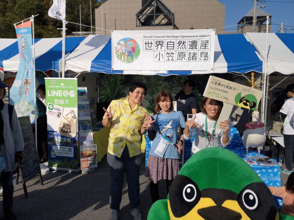 5-2019年