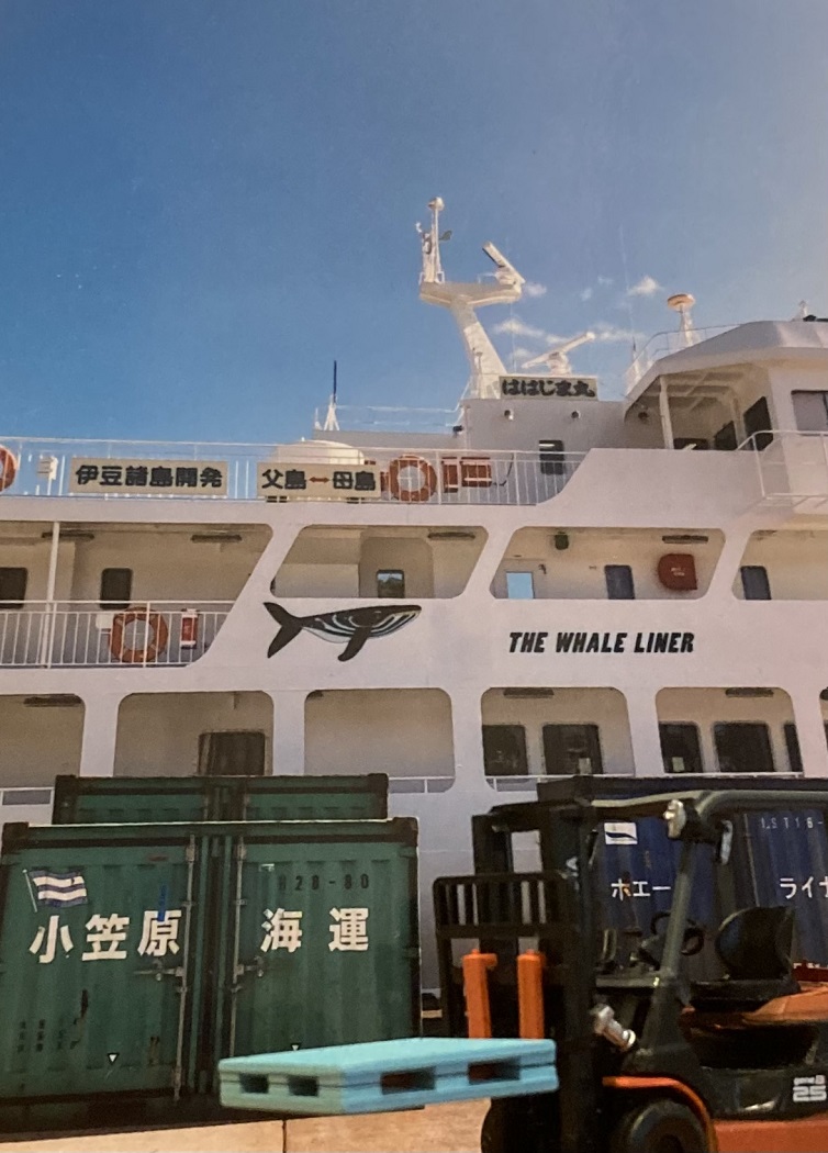 コウ_ガチャガチャで小笠原諸島の旅？