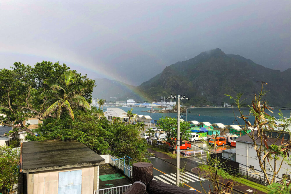 雨の日記事1